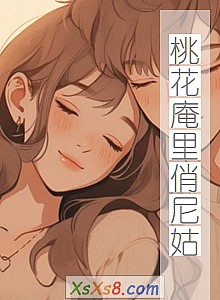 《桃花庵里俏尼姑》小说封面