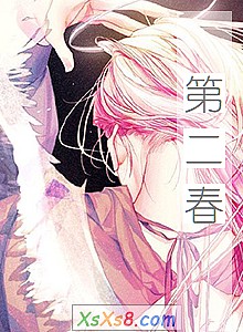 《第二春》小说封面