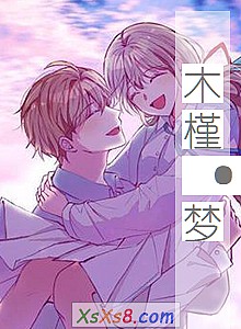 《木槿·梦》小说封面