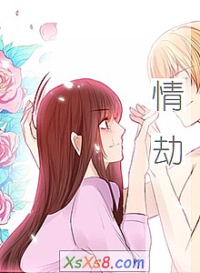 《情劫》小说封面