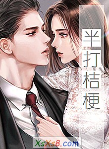 《半打桔梗》小说封面