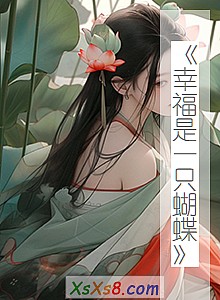 《幸福是一只蝴蝶》小说封面