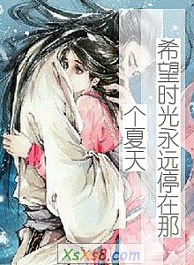 《希望时光永远停在那个夏天》小说封面