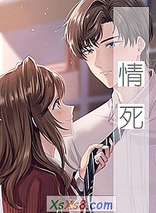 《情死》小说封面