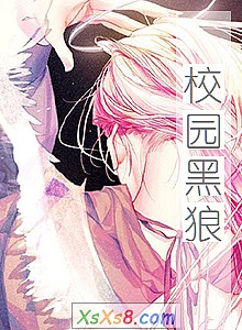《校园黑狼》小说封面