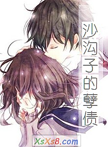 《沙沟子的孽债》小说封面