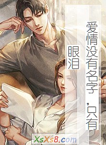 《爱情没有名字,只有眼泪》小说封面