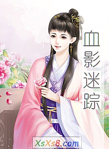 《血影迷踪》小说封面