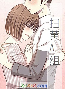 《扫黄A组》小说封面