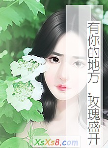 《有你的地方,玫瑰盛开》小说封面