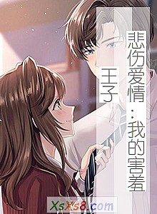 《悲伤爱情:我的害羞王子》小说封面