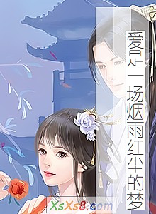 《爱是一场烟雨红尘的梦》小说封面