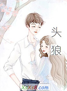 《头狼》小说封面