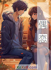 《偶恋》小说封面