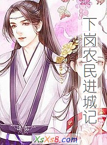 《下岗农民进城记》小说封面