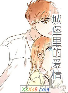 《城堡里的爱情》小说封面