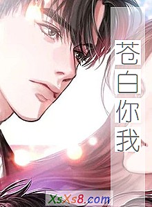 《苍白你我》小说封面