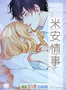 《米安情事》小说封面