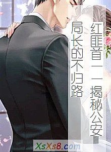 《红匪首——揭秘公安局长的不归路》小说封面