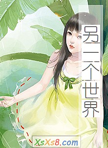 《另一个世界》小说封面