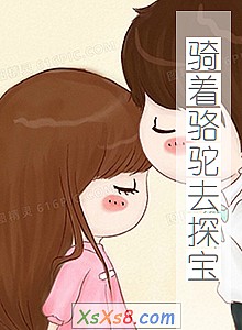 《骑着骆驼去探宝》小说封面