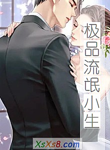 《极品流氓小生》小说封面