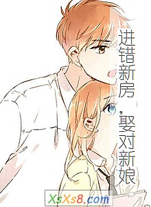 《进错新房,娶对新娘》小说封面