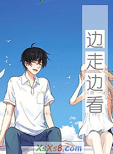 《边走边看》小说封面