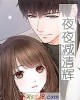 《夜夜减清辉》小说封面