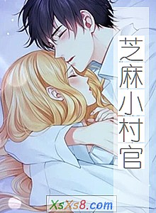 《芝麻小村官》小说封面