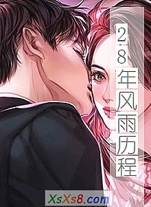 《28年风雨历程》小说封面