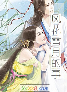 《风花雪月的事》小说封面