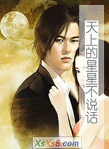 《天上的星星不说话》小说封面