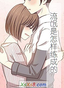 《流氓是怎样练成的》小说封面