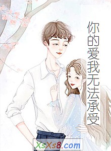 《你的爱我无法承受》小说封面