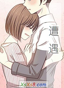 《遭遇》小说封面