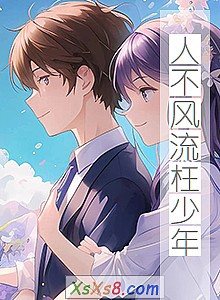 《人不风流枉少年》小说封面