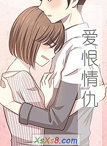 《爱恨情仇》小说封面