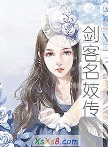 《剑客名妓传》小说封面