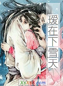 《瑷在下雪天》小说封面