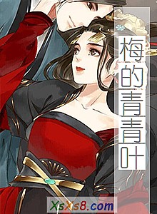 《梅的青青叶》小说封面