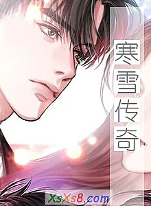 《寒雪传奇》小说封面