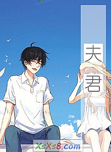 《夫君》小说封面