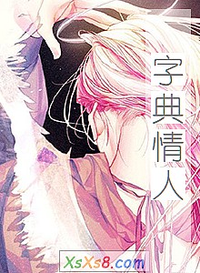 《字典情人》小说封面