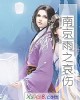 《南京雨之哀伤》小说封面