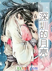 《深圳的月亮》小说封面