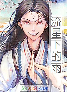 《流星下的雨》小说封面