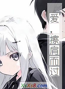 《爱,擦肩而过》小说封面