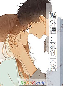 《婚外遇:爱到末路》小说封面