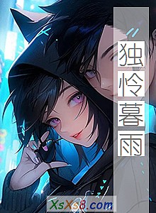 《独怜暮雨》小说封面